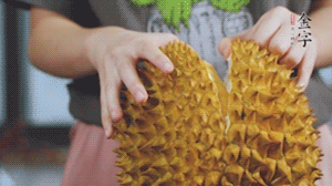 榴蓮剝好肉后，搗成泥狀。