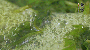 艾草葉放入煮沸的水中，加點(diǎn)食用堿，待變成深綠色時(shí)撈出，放入冰水中，瀝干備用。