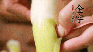 茭白剝?nèi)ネ鈿?，先切片再切絲。