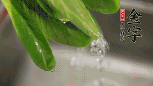 燒一鍋開(kāi)水，滴一點(diǎn)油，水開(kāi)后汆燙青菜至斷生即可。