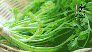 挑選鮮嫩的香菜，洗干凈后，處理成小段。