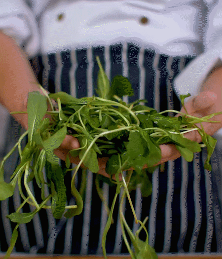 馬蘭頭焯水，切成細(xì)末。