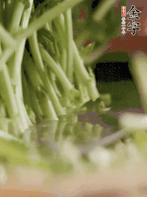 新鮮豌豆苗割下洗凈。